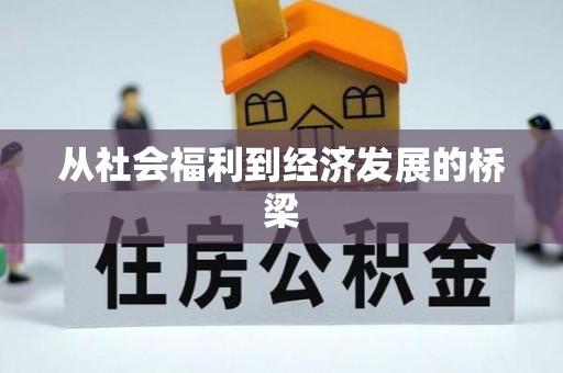 富锦从社会福利到经济发展的桥梁