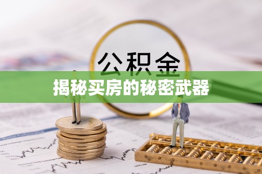 富锦揭秘买房的秘密武器