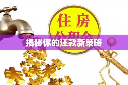 富锦揭秘你的还款新策略
