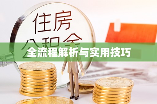 富锦全流程解析与实用技巧