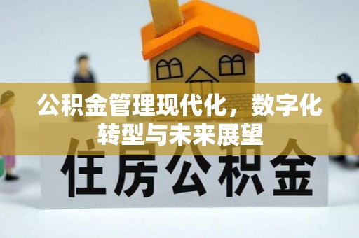 富锦公积金管理现代化，数字化转型与未来展望