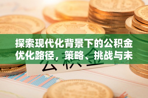 富锦探索现代化背景下的公积金优化路径，策略、挑战与未来展望