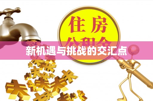 富锦新机遇与挑战的交汇点
