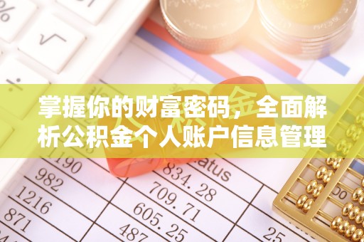 富锦掌握你的财富密码，全面解析公积金个人账户信息管理与优化