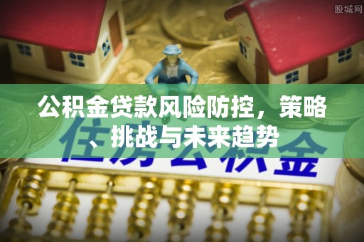 富锦公积金贷款风险防控，策略、挑战与未来趋势