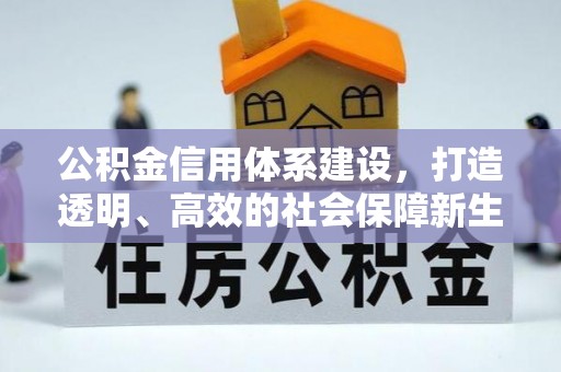 富锦公积金信用体系建设，打造透明、高效的社会保障新生态
