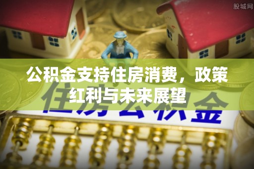 富锦公积金支持住房消费，政策红利与未来展望