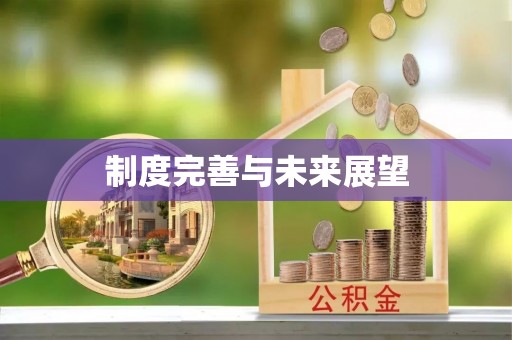 富锦制度完善与未来展望
